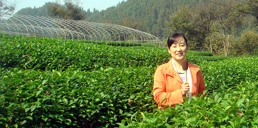 TV・ラジオ・CM・イベントなどのレポーター・キャスター